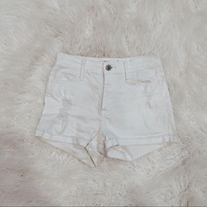 Hollister Shorts